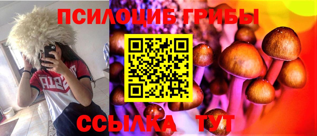 Галлюциногенные грибы MAGIC MUSHROOMS Зеленодольск